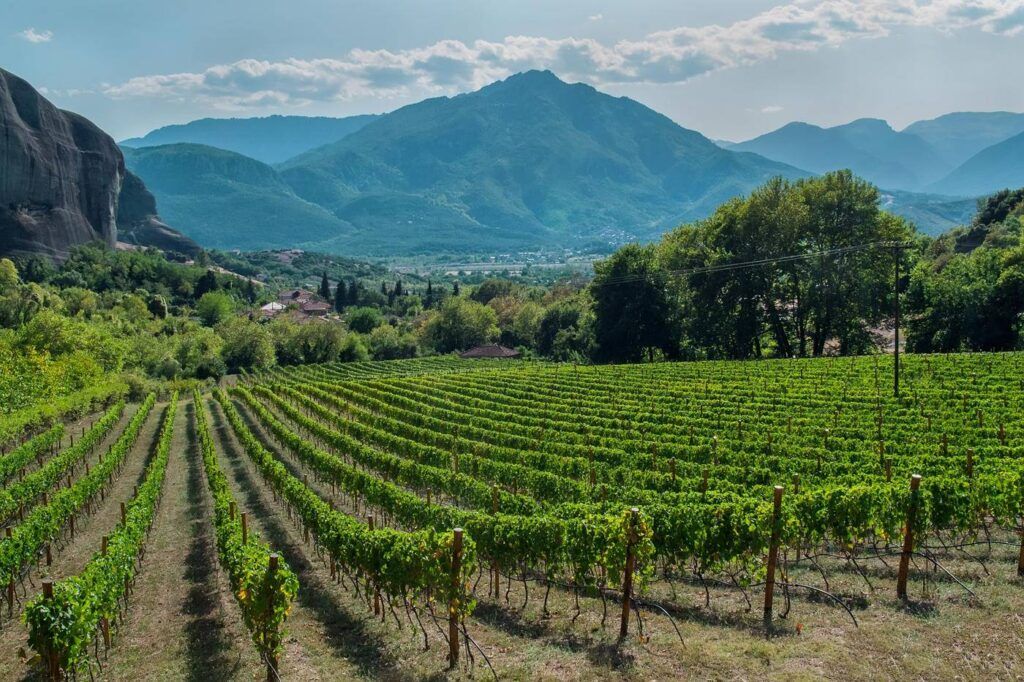 east-peloponnese-ebike-tour